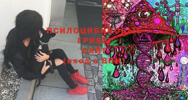 героин Верея