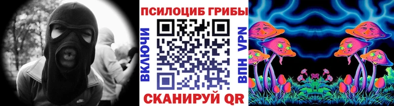 Галлюциногенные грибы мицелий  Ковылкино 